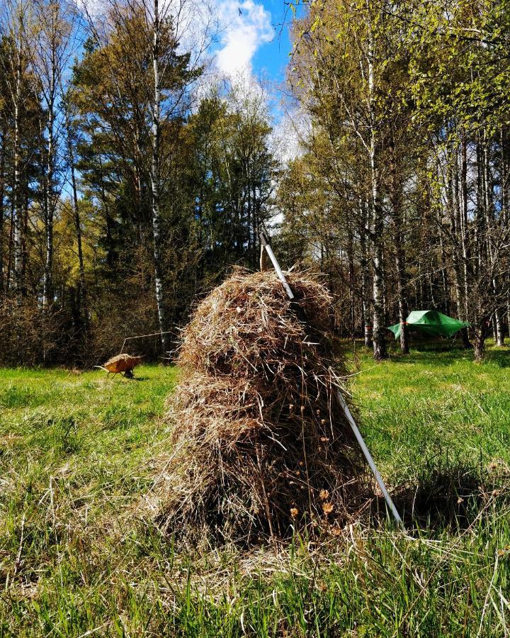 Naawa Nature Camp Korpo Εξωτερικό φωτογραφία